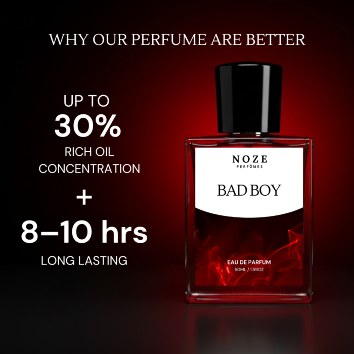 Bad Boy Bad Boy Perfume