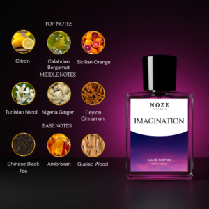 Imagination