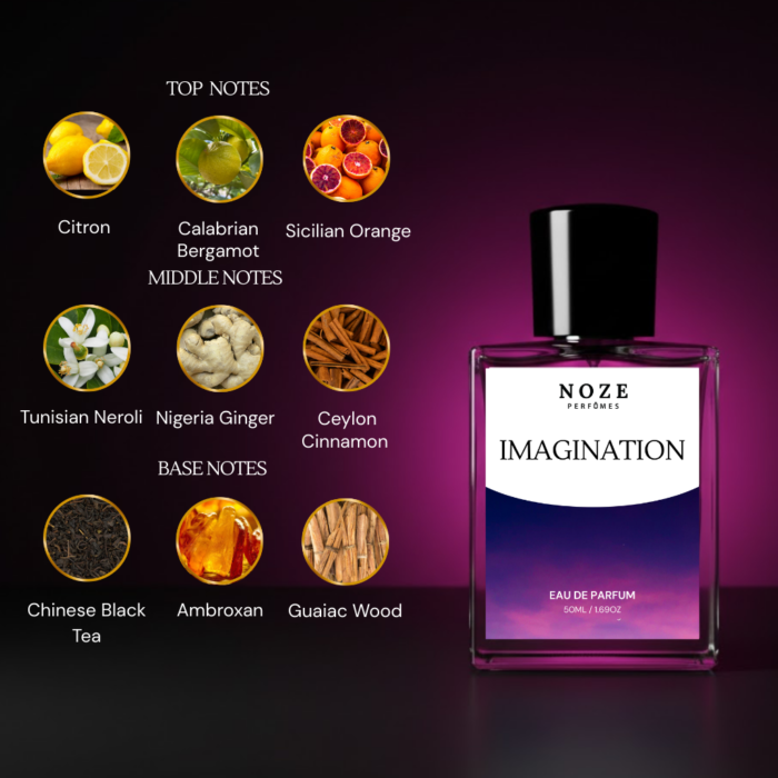 Imagination
